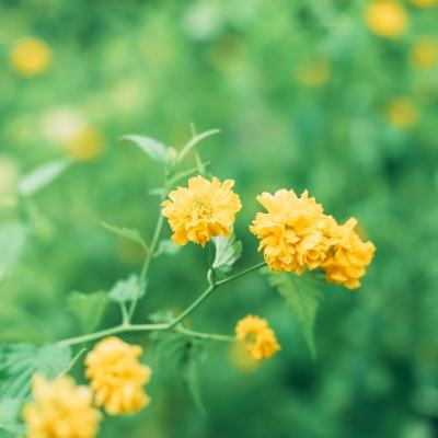 武林英雄传无限金币元宝版下载